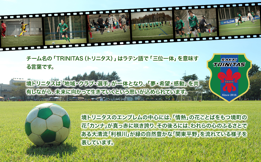 縲5譌・莉・蜀逋コ騾√ 蠅繝医Μ繝九ち繧ケ蠢懈抄繝懊ャ繧ッ繧ケ繝繧」繝繧キ繝・ 400譫(200邨) テ 5邂ア 譌・逕ィ蜩 髦イ轣ス 豸郁怜刀 蠢髴蜩 闃ア邊 鬚ィ驍ェ 繝繧」繝繧キ繝・ 繝懊ャ繧ッ繧ケ 繝懊ャ繧ッ繧ケ繝繧」繝繧キ繝・ K2602