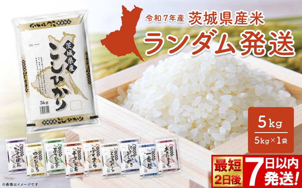 ◎最短2日後発送◎ ランダム 5kg 茨城県産スピード便 最速 最短 米 精米 小分け 2025年産 【令和7年産/白米】 K2464