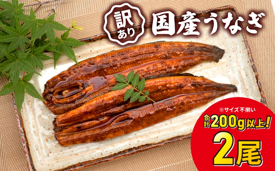 ã7æ¥ä»¥å
çºéãèš³ãã ãããæ²³å²žæ°Žç£ åœç£ããªã ã詊ã 2å°Ÿ 200gä»¥äž äººæ° é°» ããªãè²çŒ K2629