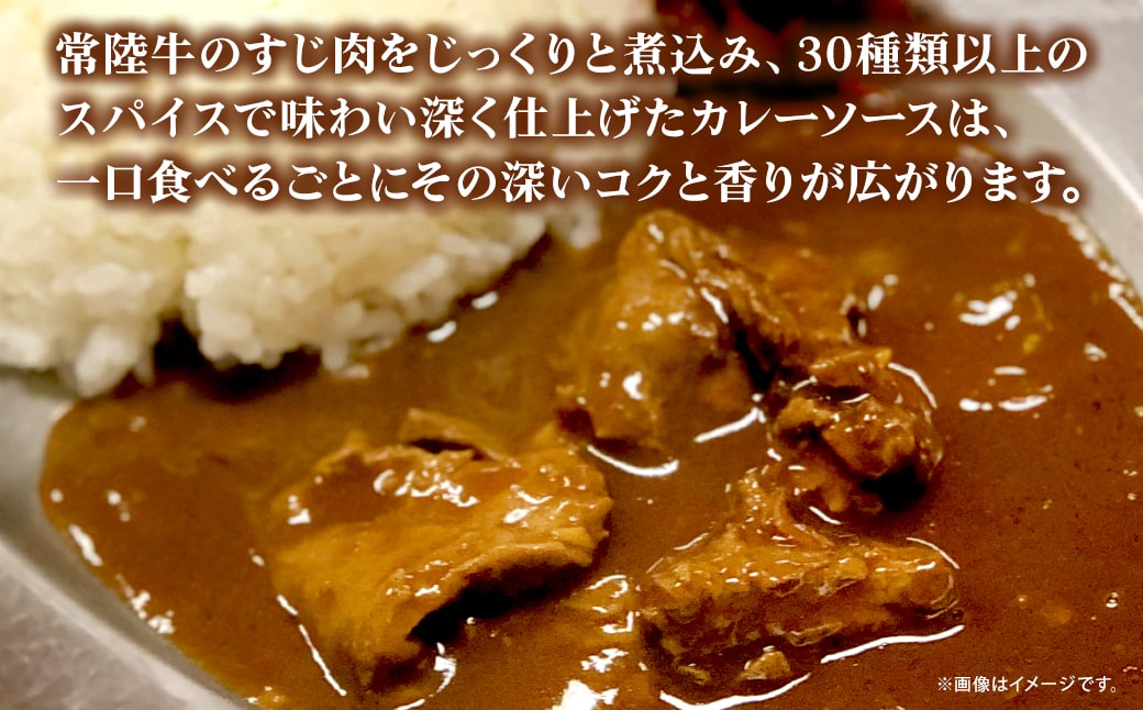 K2541 常陸牛すじカレー 1.2kg(200g×6袋) ＜茨城県共通返礼品＞【常陸牛 牛 牛すじ カレー スパイス レトルト 本格 贅沢 牛肉 カレーライス】