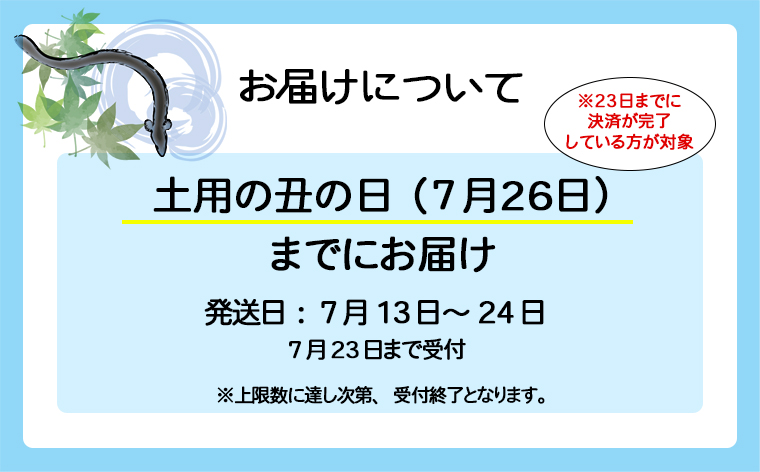 【土用の丑の日までにお届け】 国産 うなぎ 蒲焼 2尾 350g以上 鰻 うなぎ蒲焼 蒲焼き 人気 丑の日 ウナギ うな重 魚 魚介 ギフト K2185