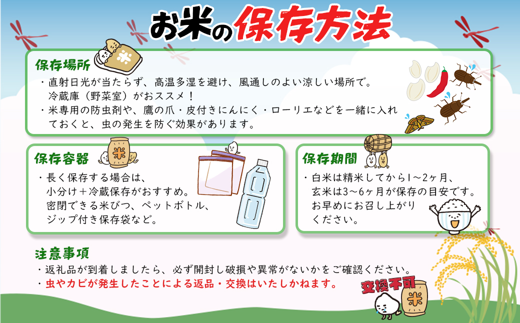 【令和7年産】米 玄米 コシヒカリ 5kg(5kg×1袋) 国産 ご飯 茨城県 境町産 人気 S278