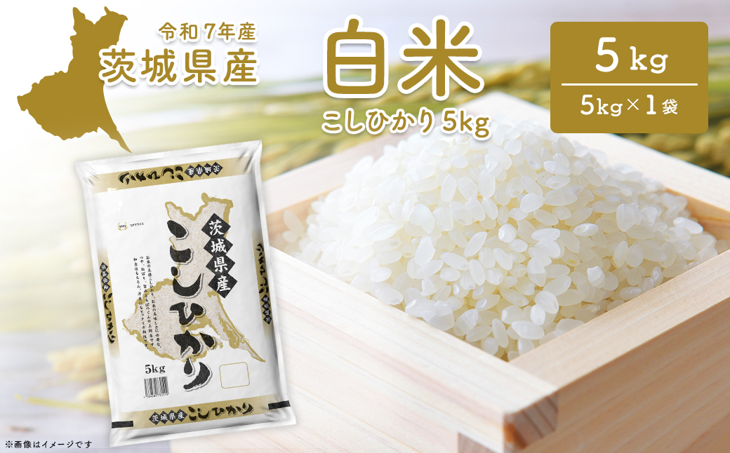 【令和7年産/白米】 〈令和8年1月内発送〉こしひかり 5kg 茨城県産 米 小分け 2025年産 K2670