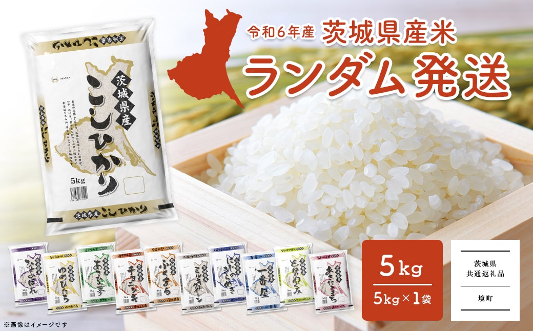 K2464A【令和6年産】※ランダム※ ＜2025年04月内発送＞  お米 5kg  茨城県産 白米