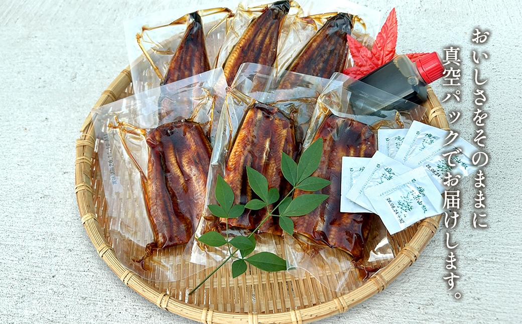 縲仙嵜逕」縺縺ェ縺弱 蜊願コォ繧ォ繝繝 6繝代ャ繧ッ(3蟆セ蛻/蜷郁ィ400g莉・荳) 繧ソ繝ャ 螻ア讀剃サ 莠コ豌 魏サ讌ス 譁ー逋サ蝣エ 謇玖サス 萓ソ蛻ゥ K2669