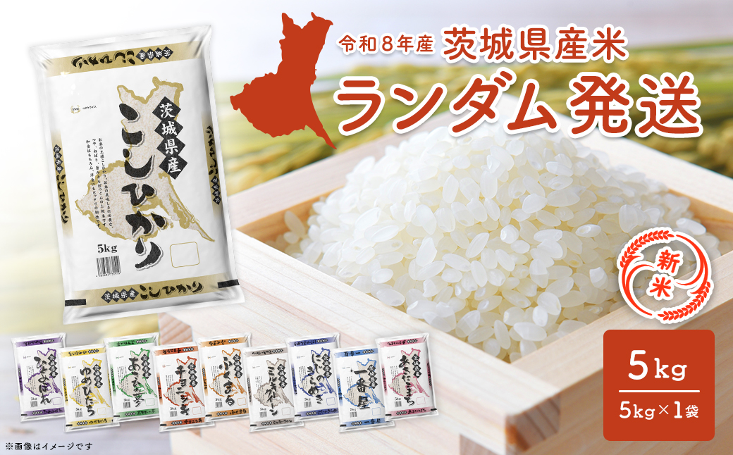 【新米/白米】◎最短2日後発送◎ 米 ランダム 5kg 令和8年産 茨城県産 精米 小分け 2026年産 国産 人気 K2464