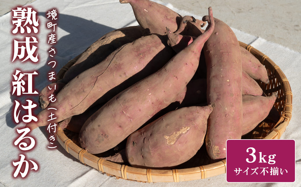 ãæ°ééå®ãå¢çºç£ ãã€ãŸãã çæçŽ
ã¯ãã å°ãããµã€ãº (SSïœS) çŽ3kg åä»ã äžæã ãã£ãšã çã åœç£ çæãã€ãŸãã ã¹ã«ã¯ãã è çè çŒãè ãµããã€ã¢ ç¡éžå¥ èšåç K2691