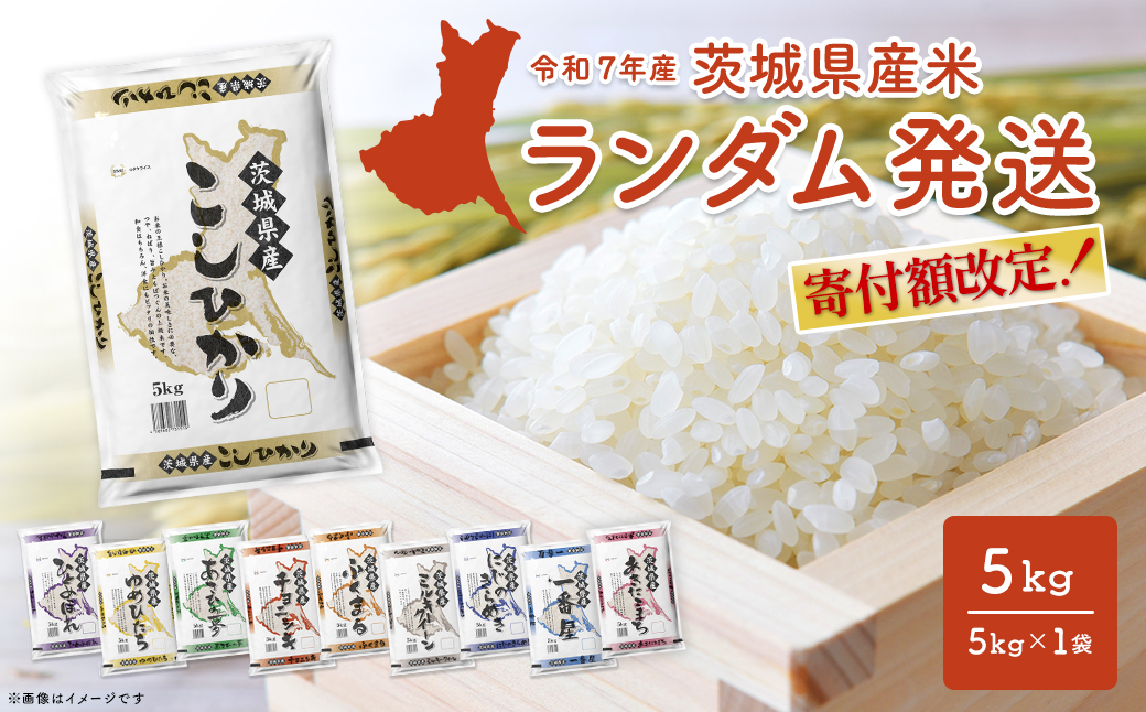 譛滄俣髯仙ョ!! 蟇髯鬘肴隼螳!!縲先怙遏ュ2譌・蠕7譌・莉・蜀逋コ騾√代蝉サ、蜥7蟷エ逕」/逋ス邀ウ縲 繝ゥ繝ウ繝繝 5kg 闌ィ蝓守恁逕」 邀ウ 蟆丞縺 2025蟷エ逕」 K2464