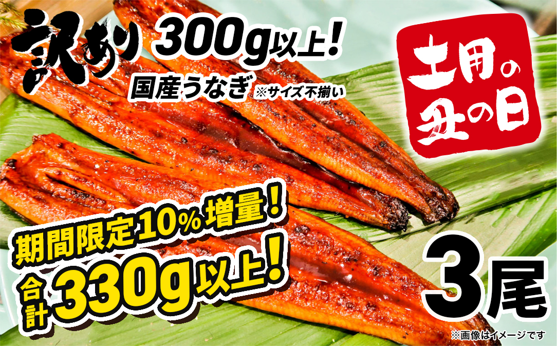 【土用の丑の日までにお届け】 国産 うなぎ 3尾 計330g以上 ※サイズ不揃い 訳あり 鰻 うなぎ蒲焼 蒲焼 蒲焼き 丑の日 ウナギ  K1804