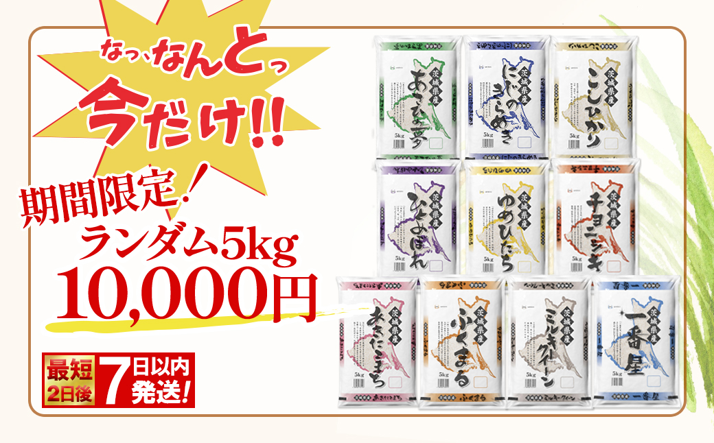 譛滄俣髯仙ョ!! 蟇髯鬘肴隼螳!!縲先怙遏ュ2譌・蠕7譌・莉・蜀逋コ騾√代蝉サ、蜥7蟷エ逕」/逋ス邀ウ縲 繝ゥ繝ウ繝繝 5kg 闌ィ蝓守恁逕」 邀ウ 蟆丞縺 2025蟷エ逕」 K2464