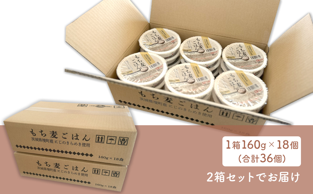【最短翌日発送】茨城県境町産 にじのきらめき使用 もち麦ごはん 160g×36個 パックライス ライスパック パックご飯 K2676