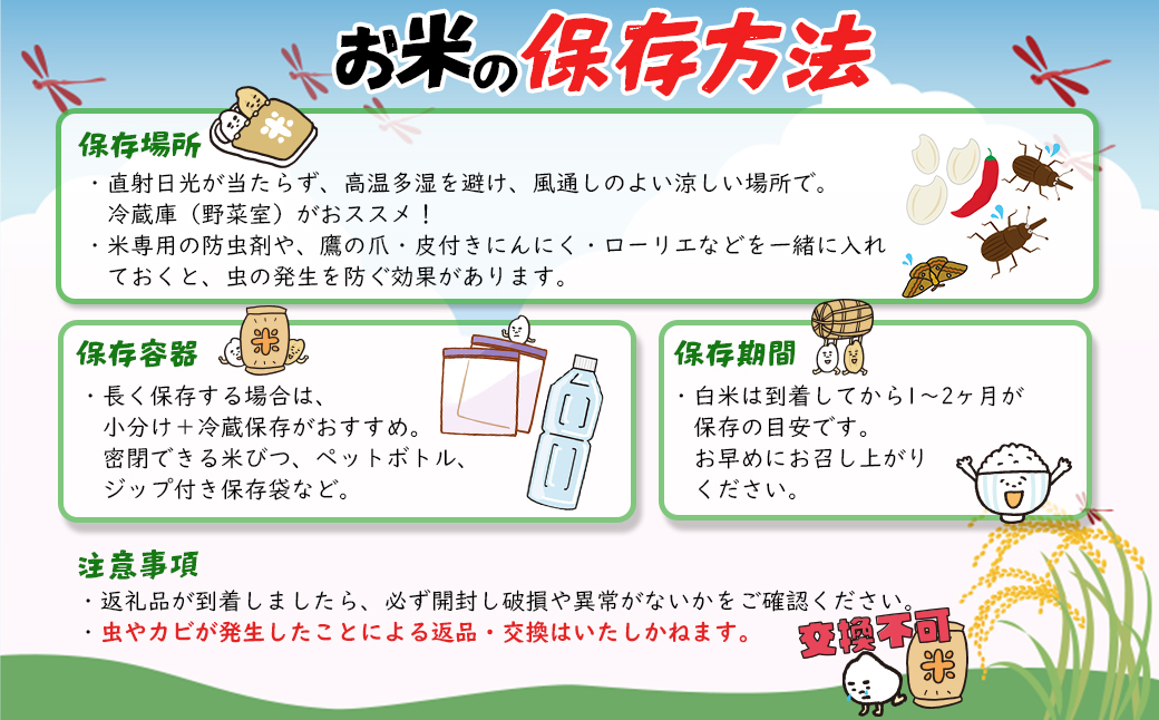 【令和7年産】米 無洗米 白米 コシヒカリ 5kg(5kg×1袋) 国産 ご飯 茨城県 境町産 人気 S269