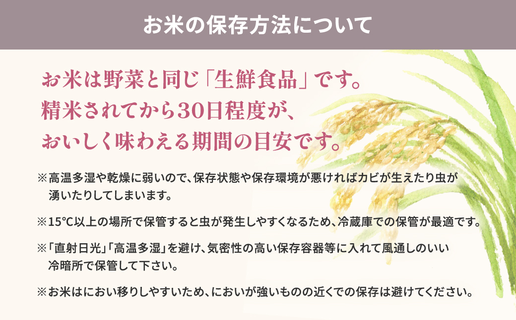 【令和7年産/白米】 ミルキークイーン 令和7年産 3kg×1袋 茨城県産 少量 人気 K2658