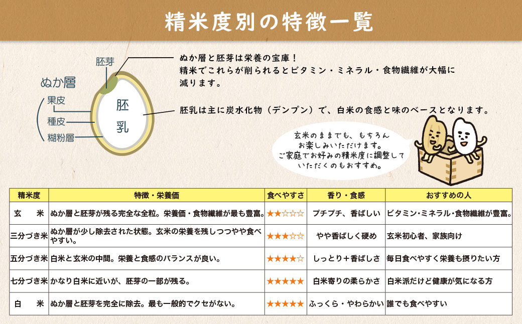 【令和7年産】米 玄米 コシヒカリ 5kg(5kg×1袋) 国産 ご飯 茨城県 境町産 人気 S278