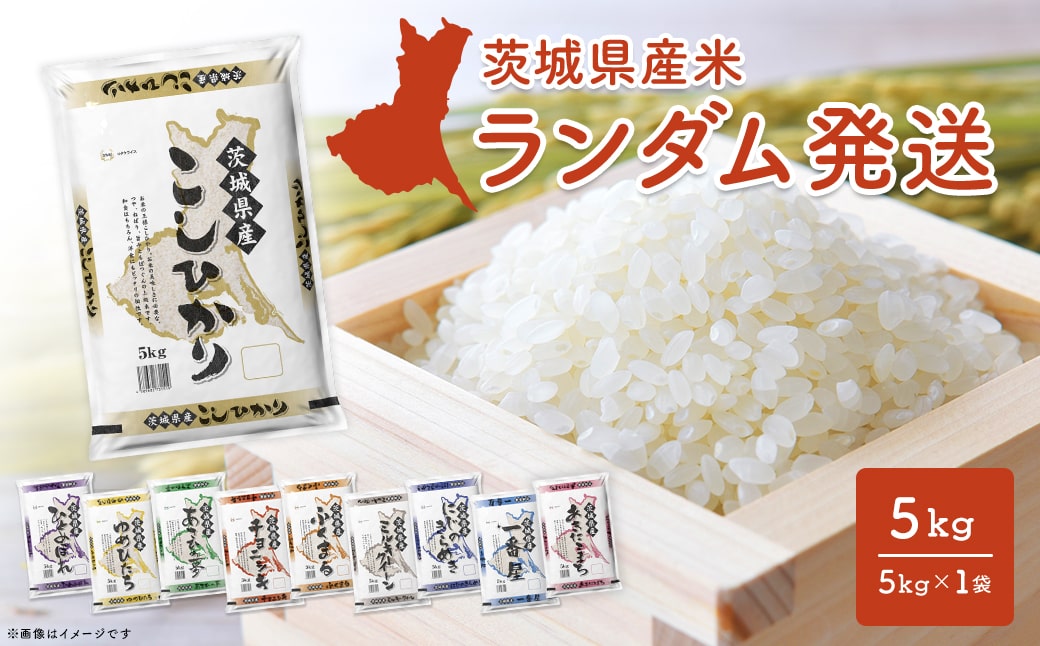 【令和7年産/白米】 ＜令和8年1月内発送＞ ※ランダム※  茨城県産 5kg 米 小分け 2025年産 K2464