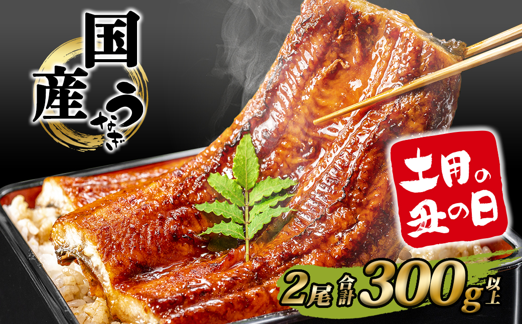 【丑の日までにお届け】 国産 うなぎ 蒲焼 2尾 計300g以上 鰻 うなぎ蒲焼 蒲焼き 人気 ウナギ 簡易包装 タレ 山椒 土用の丑の日 父の日 ギフト K2390
