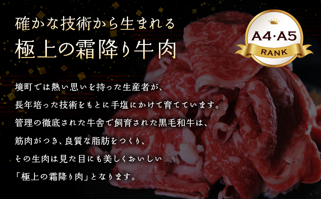 ＜2024年12月発送＞【A5・A4等級】常陸牛 切り落とし 1000g