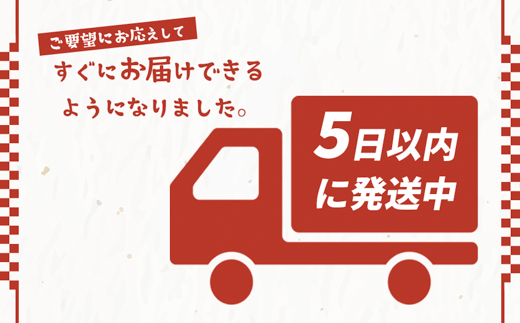 境町産こしひかり使用 低温製法米パックライス 180g×40個B