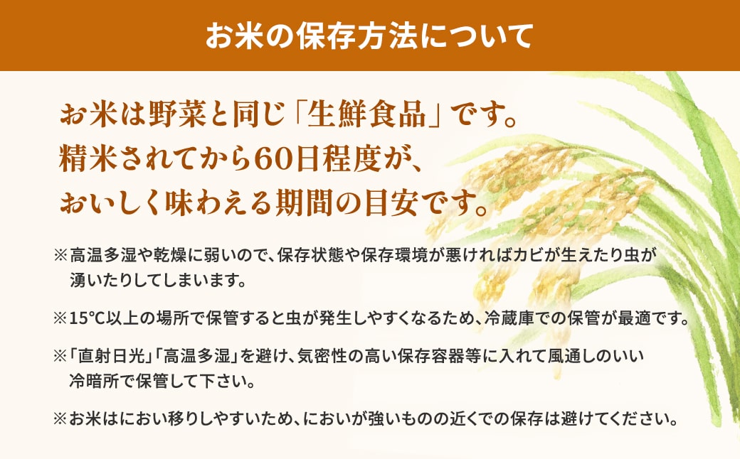 ＜2025年1月内発送＞ 令和6年産 お米2種食べ比べ 10kg(5kg×2袋)  茨城県産