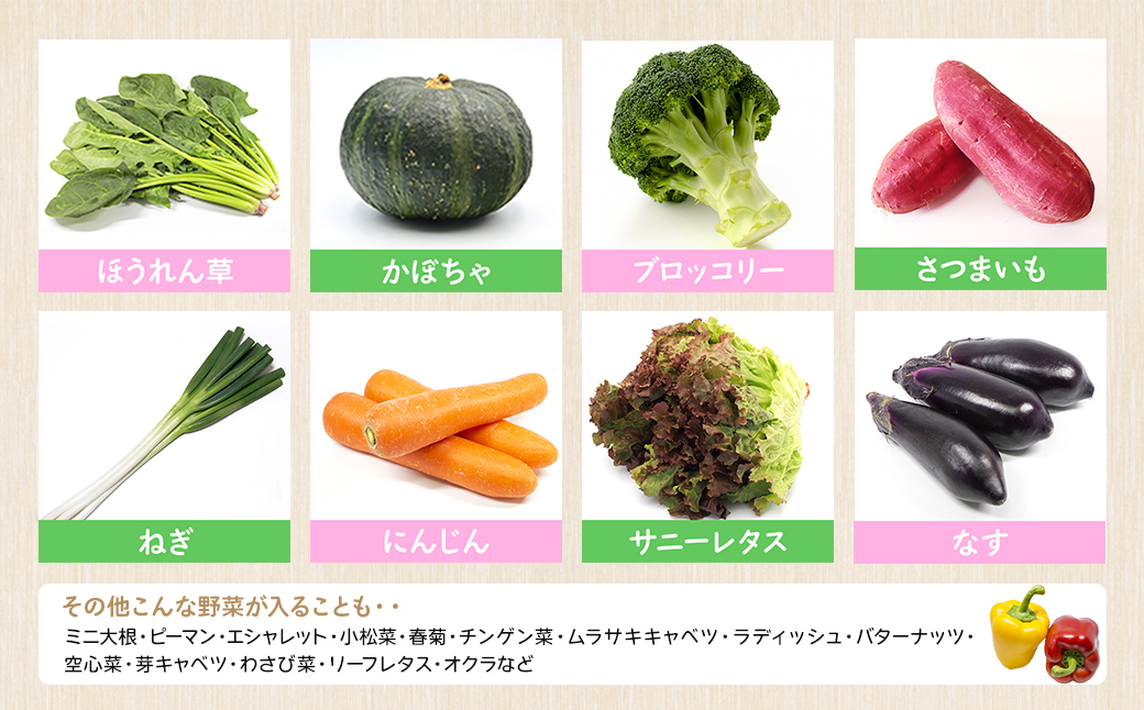 【ふるさと納税限定】道の駅さかい駅長おすすめ野菜セット