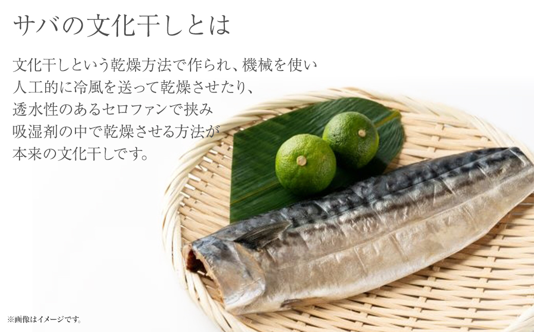 K2587 縲占肩蝓守恁蜈ア騾夊ソ皮、シ蜩/逾樊門クゅ大、ァ繝医Ο 縺輔ー 譁蛹門ケイ縺 1譫夂悄遨コテ6繝代ャ繧ッ 鬲 縺輔ー 繧オ繝 魃 逵溽ゥコ繝代ャ繧ッ 蛹也イァ邂ア 蜀キ蜃 荳螟懷ケイ縺