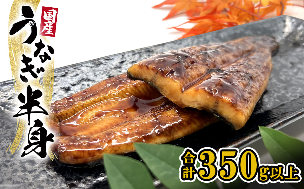 【国産うなぎ】 ハーフカット 6パック(3尾分/合計350g以上) タレ 山椒付 食べきり 人気 鰻楽 半身 新登場 手軽 便利 K2669