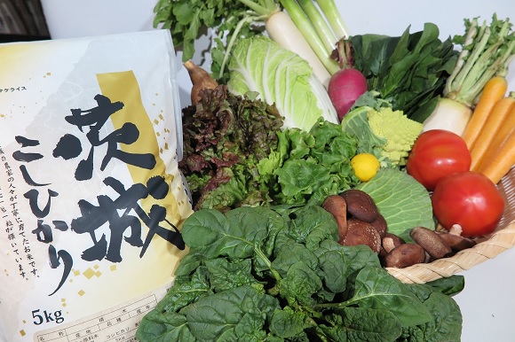 【ふるさと納税限定】茨城県産コシヒカリ5kgと季節の野菜セット
