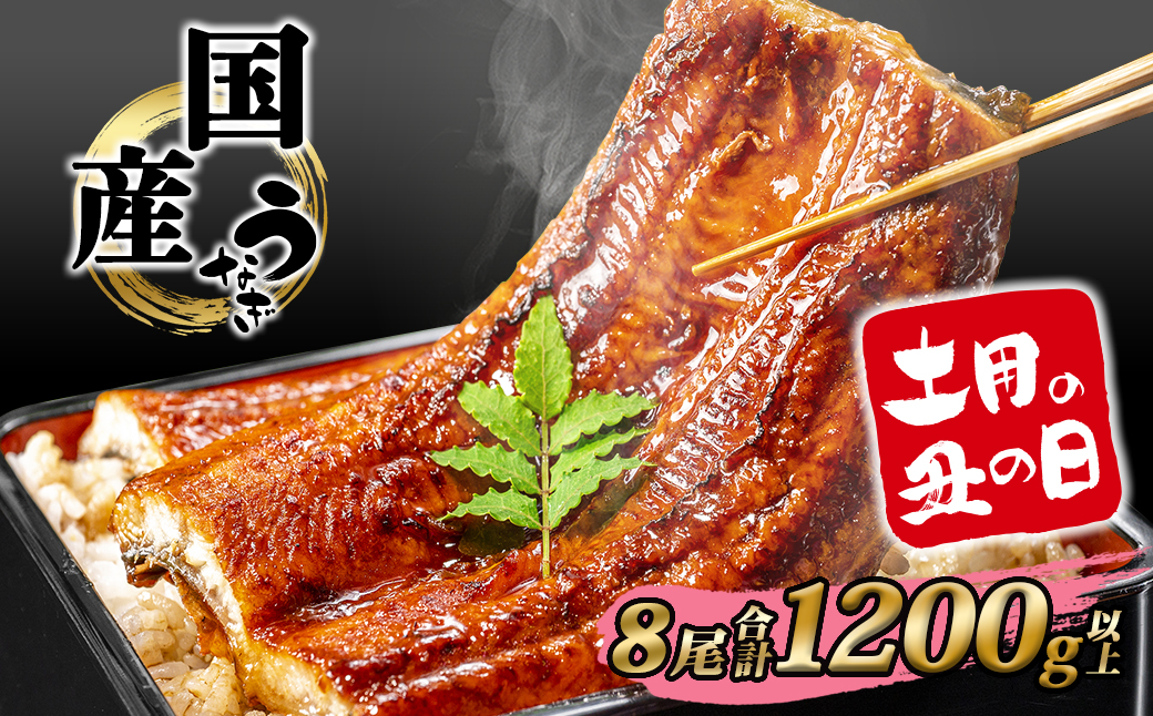 【土用の丑の日までにお届け】うなぎ 蒲焼 8尾 1,200g以上 国産 鰻 人気 うなぎ蒲焼き うな重 簡易袋 魚 魚介 ギフト K2393