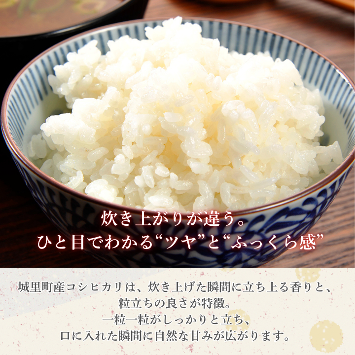 【6カ月定期便】コシヒカリ 5kg（茨城県共通返礼品・城里町産） / 米 こめ コメ お米 おこめ コシヒカリ こしひかり 白米 精米 ごはん ご飯 令和7年産 5kg 定期便 茨城県 城里町 利根町