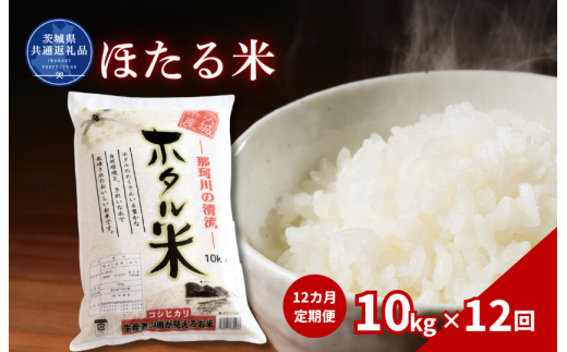 【12カ月定期便】ほたる米 10kg（茨城県共通返礼品・城里町産） / 米 こめ コメ お米 おこめ ほたる米 白米 精米 ごはん ご飯 令和7年産 10kg 定期便 茨城県 城里町 利根町