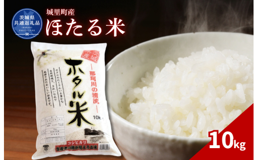 ほたる米 10kg（茨城県共通返礼品・城里町産） / 米 こめ コメ お米 おこめ ほたる米 白米 精米 ごはん ご飯 令和7年産 10kg 茨城県 城里町 利根町