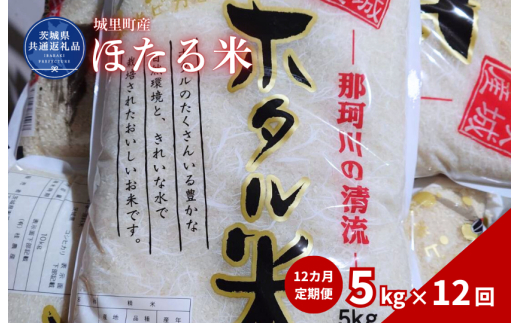 【12カ月定期便】ほたる米 5kg（茨城県共通返礼品・城里町産） / 米 こめ コメ お米 おこめ ほたる米 白米 精米 ごはん ご飯 令和7年産 5kg 定期便 茨城県 城里町 利根町