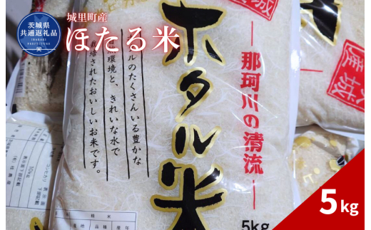 ほたる米 5kg（茨城県共通返礼品・城里町産） / 米 こめ コメ お米 おこめ ほたる米 白米 精米 ごはん ご飯 令和7年産 5kg 茨城県 城里町 利根町