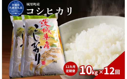 【12カ月定期便】コシヒカリ 10kg（茨城県共通返礼品・城里町産） / 米 こめ コメ お米 おこめ コシヒカリ こしひかり 白米 精米 ごはん ご飯 令和7年産 10kg 定期便 茨城県 城里町 利根町