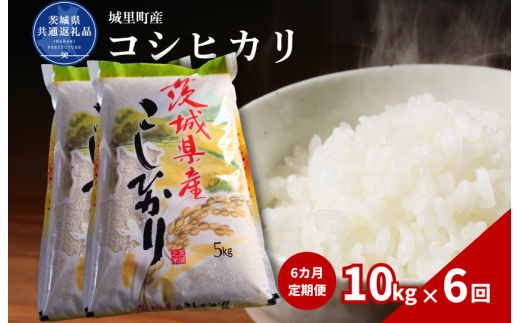 【6カ月定期便】コシヒカリ 10kg（茨城県共通返礼品・城里町産） / 米 こめ コメ お米 おこめ コシヒカリ こしひかり 白米 精米 ごはん ご飯 令和7年産 10kg 定期便 茨城県 城里町 利根町