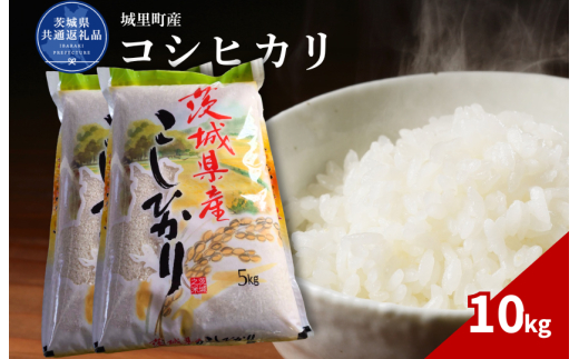 コシヒカリ 10kg（茨城県共通返礼品・城里町産） / 米 こめ コメ お米 おこめ コシヒカリ こしひかり 白米 精米 ごはん ご飯 令和7年産 10kg 茨城県 城里町 利根町