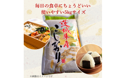コシヒカリ 10kg（茨城県共通返礼品・城里町産） / 米 こめ コメ お米 おこめ コシヒカリ こしひかり 白米 精米 ごはん ご飯 令和7年産 10kg 茨城県 城里町 利根町