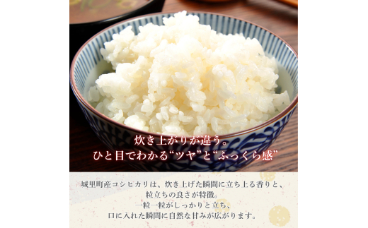 コシヒカリ 10kg（茨城県共通返礼品・城里町産） / 米 こめ コメ お米 おこめ コシヒカリ こしひかり 白米 精米 ごはん ご飯 令和7年産 10kg 茨城県 城里町 利根町