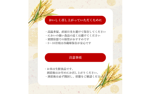 コシヒカリ 10kg（茨城県共通返礼品・城里町産） / 米 こめ コメ お米 おこめ コシヒカリ こしひかり 白米 精米 ごはん ご飯 令和7年産 10kg 茨城県 城里町 利根町
