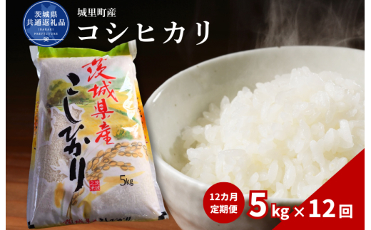 【12カ月定期便】コシヒカリ 5kg（茨城県共通返礼品・城里町産） / 米 こめ コメ お米 おこめ コシヒカリ こしひかり 白米 精米 ごはん ご飯 令和7年産 5kg 定期便 茨城県 城里町 利根町