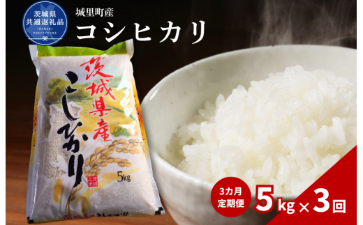 【3カ月定期便】コシヒカリ 5kg（茨城県共通返礼品・城里町産） / 米 こめ コメ お米 おこめ コシヒカリ こしひかり 白米 精米 ごはん ご飯 令和7年産 5kg 定期便 茨城県 城里町 利根町