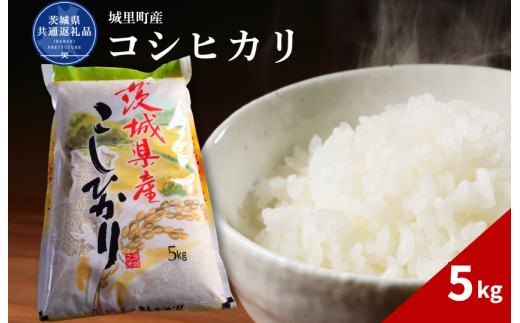 コシヒカリ 5kg（茨城県共通返礼品・城里町産） / 米 こめ コメ お米 おこめ コシヒカリ こしひかり 白米 精米 ごはん ご飯 令和7年産 5kg 茨城県 城里町 利根町