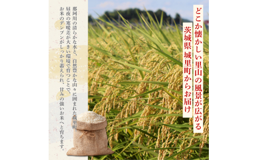 コシヒカリ 5kg（茨城県共通返礼品・城里町産） / 米 こめ コメ お米 おこめ コシヒカリ こしひかり 白米 精米 ごはん ご飯 令和7年産 5kg 茨城県 城里町 利根町