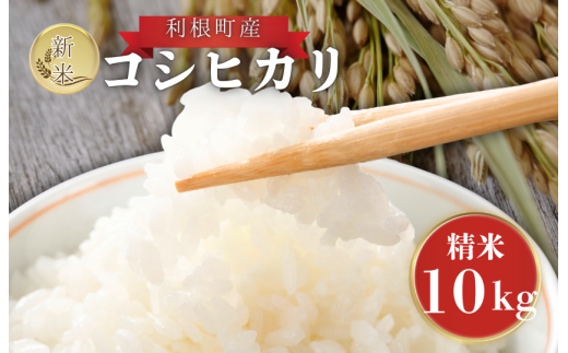 利根町産　コシヒカリ　精米　10kg ／ 米 こめ コメ お米 おこめ コシヒカリ こしひかり 令和7年産 精米 白米 ごはん ご飯 10kg 茨城県 利根町 産地直送 送料無料
