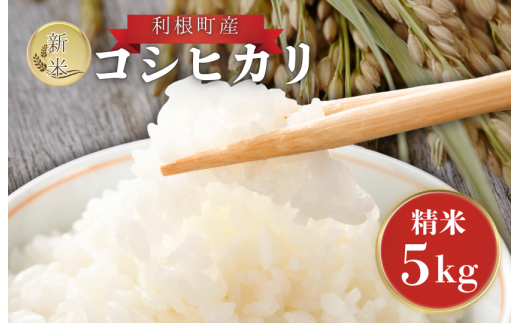 利根町産　コシヒカリ　精米　5kg ／ 米 こめ コメ お米 おこめ コシヒカリ こしひかり 令和7年産 精米 白米 ごはん ご飯 5kg 茨城県 利根町 産地直送 送料無料
