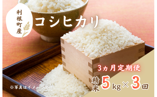 【3ヵ月定期便】利根町産コシヒカリ　精米5kg×3回 ／ 米 こめ コメ お米 おこめ コシヒカリ こしひかり 令和7年産 白米 精米 ご飯 ごはん 5kg 定期便 送料無料