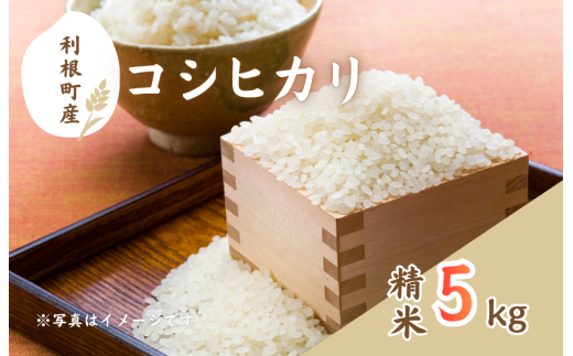 利根町産コシヒカリ　精米5kg ／ 米 こめ コメ お米 おこめ コシヒカリ こしひかり 令和7年産 白米 精米 ご飯 ごはん 10kg 送料無料