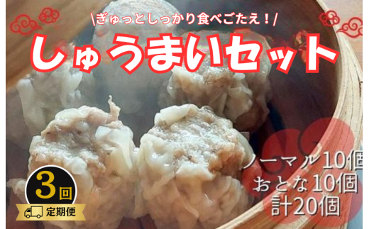 《3回定期便》手作り点心の店　Syun358.　しゅうまい20個（ノーマル10個・おとな10個）食べ比べセット