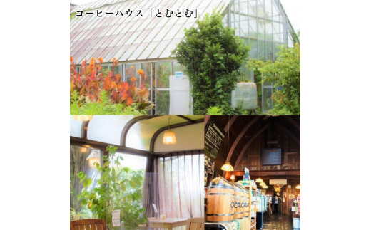 D-5b ジャパンバリスタチャンピオンシップ優勝者のいる珈琲専門店の自家焙煎コーヒー（レギュラー・缶）【つくば市×牛久市×龍ケ崎市×利根町共通返礼品】