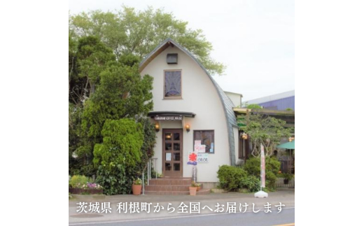 D-5b ジャパンバリスタチャンピオンシップ優勝者のいる珈琲専門店の自家焙煎コーヒー（レギュラー・缶）【つくば市×牛久市×龍ケ崎市×利根町共通返礼品】